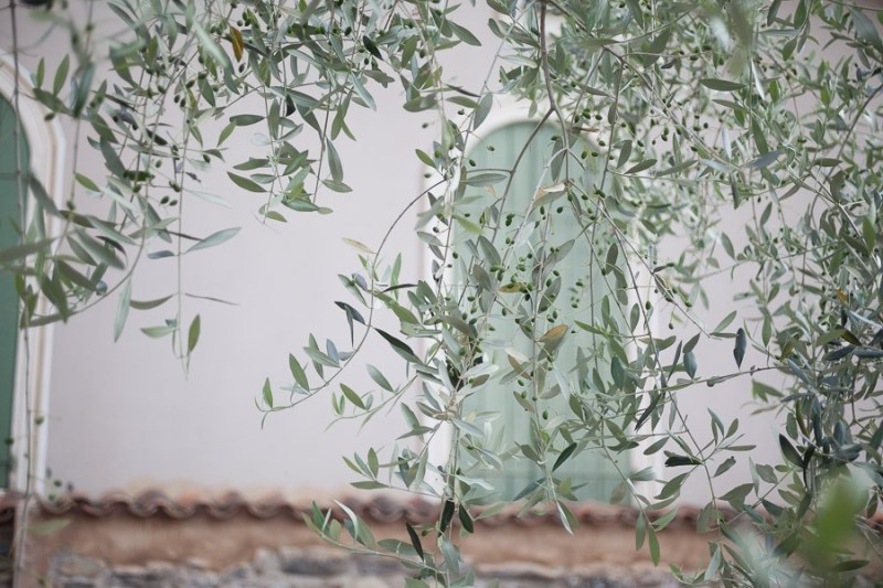 Antico Frantoio Isolabona Luca Vieri fotografo