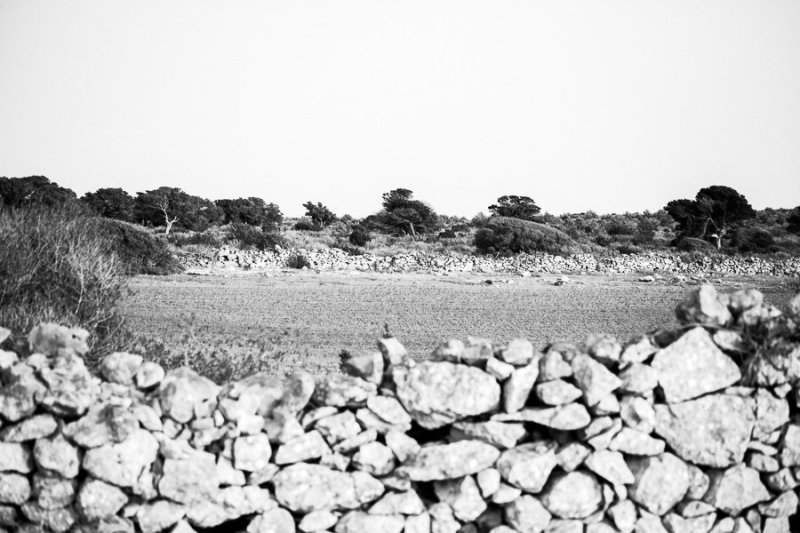 Formentera Countryside walls