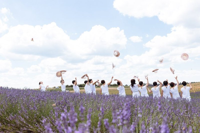 Luca Vieri Valensole Wedding Photographer