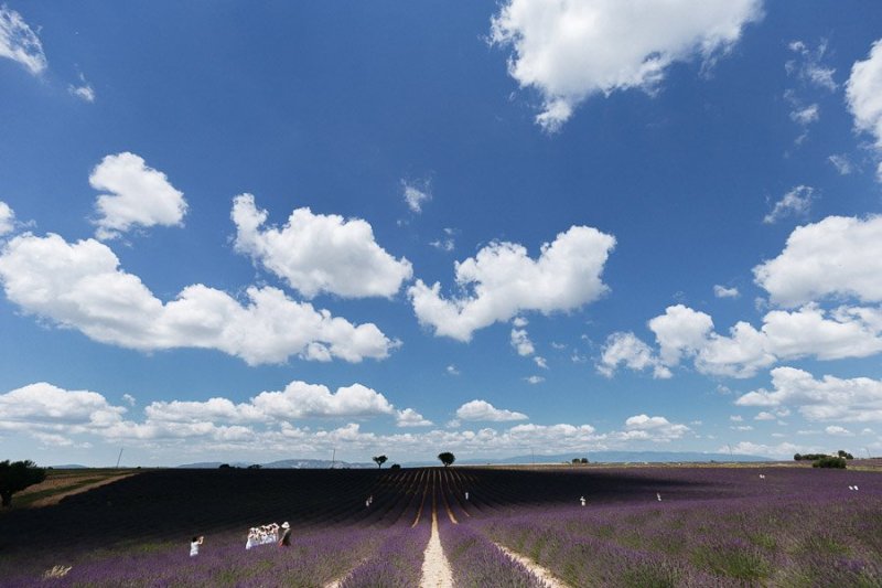 Cielo della Provenza