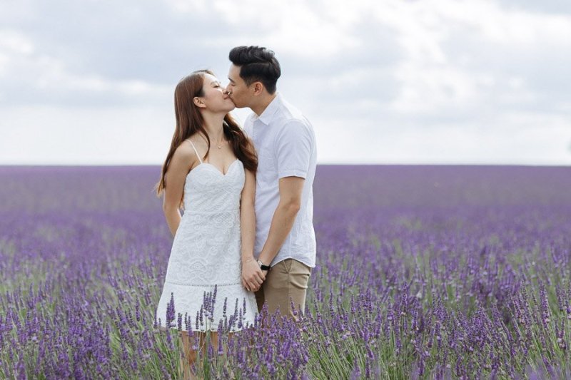 Lavanda Plateau di Valensole Luca Vieri Fotografo Matrimonio in Provenza