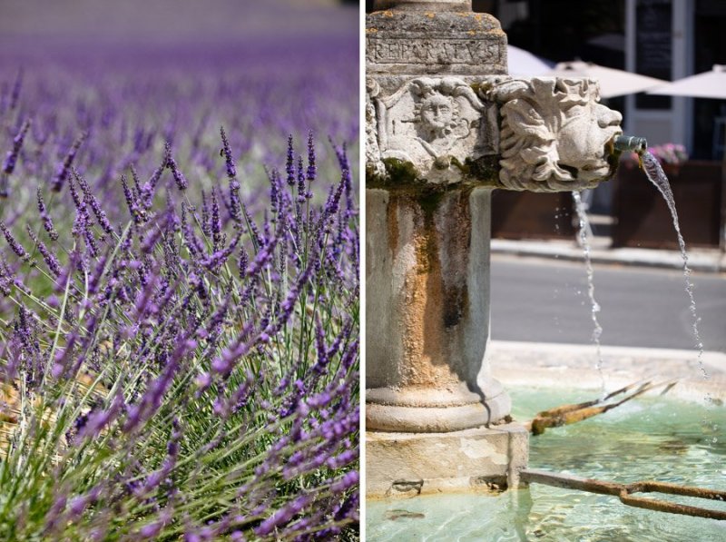 Fontana di Valensole Lavanda Provenza