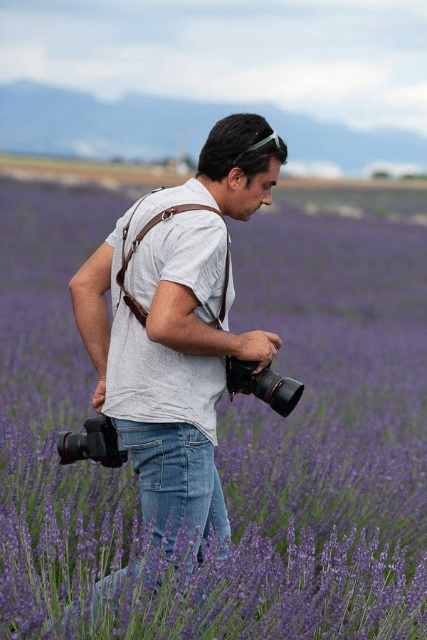 Luca over lavender fields, Provence