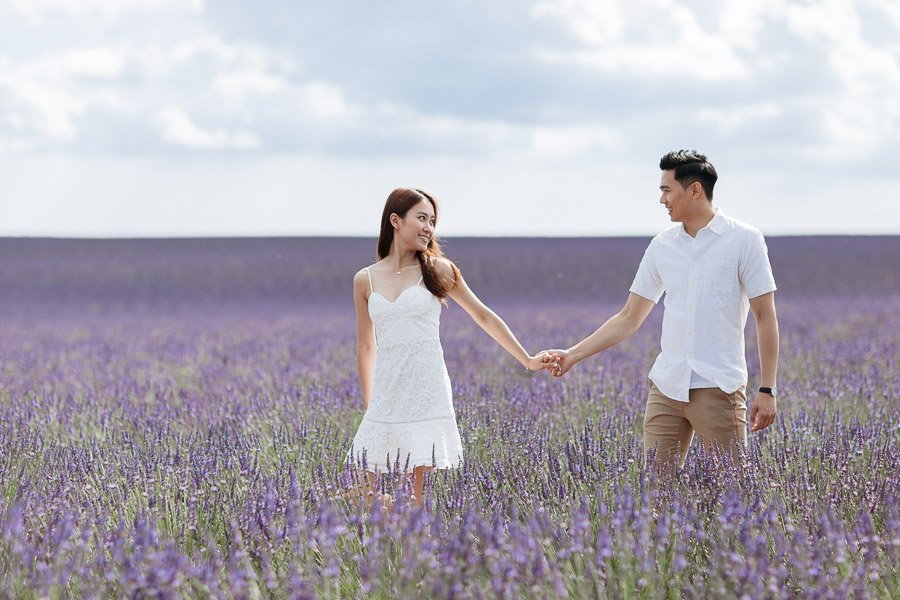 Lavanda a Valensole fotografie