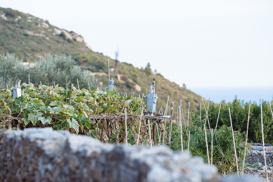 Verezzi orti Liguria