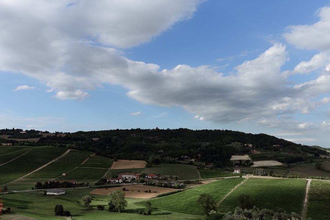 Paesaggio Monferrato Luca Vieri 