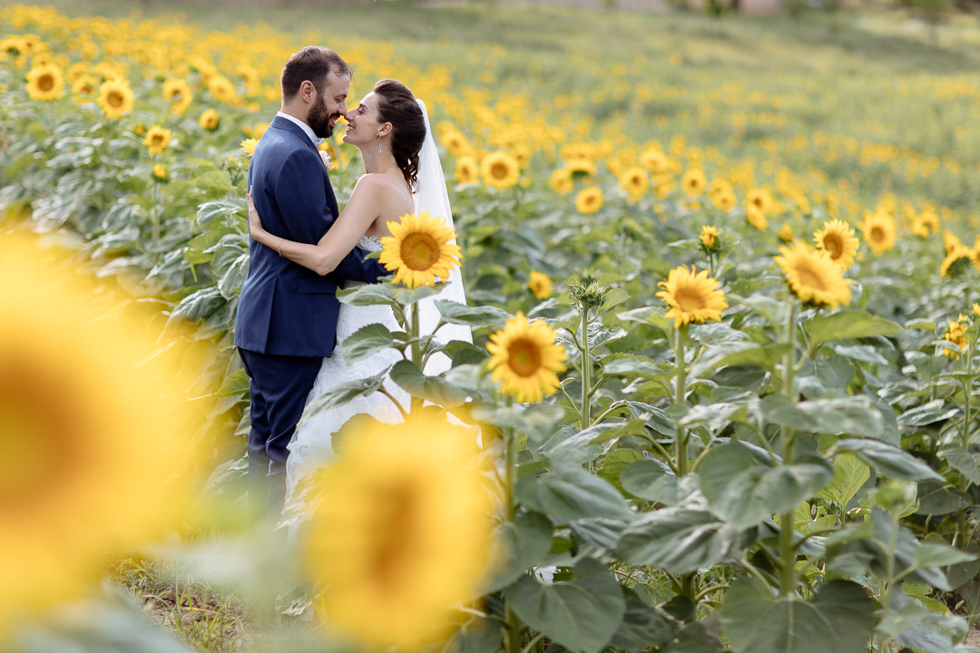 Girasoli Monferrato Luca Vieri fotografo Matrimoni 