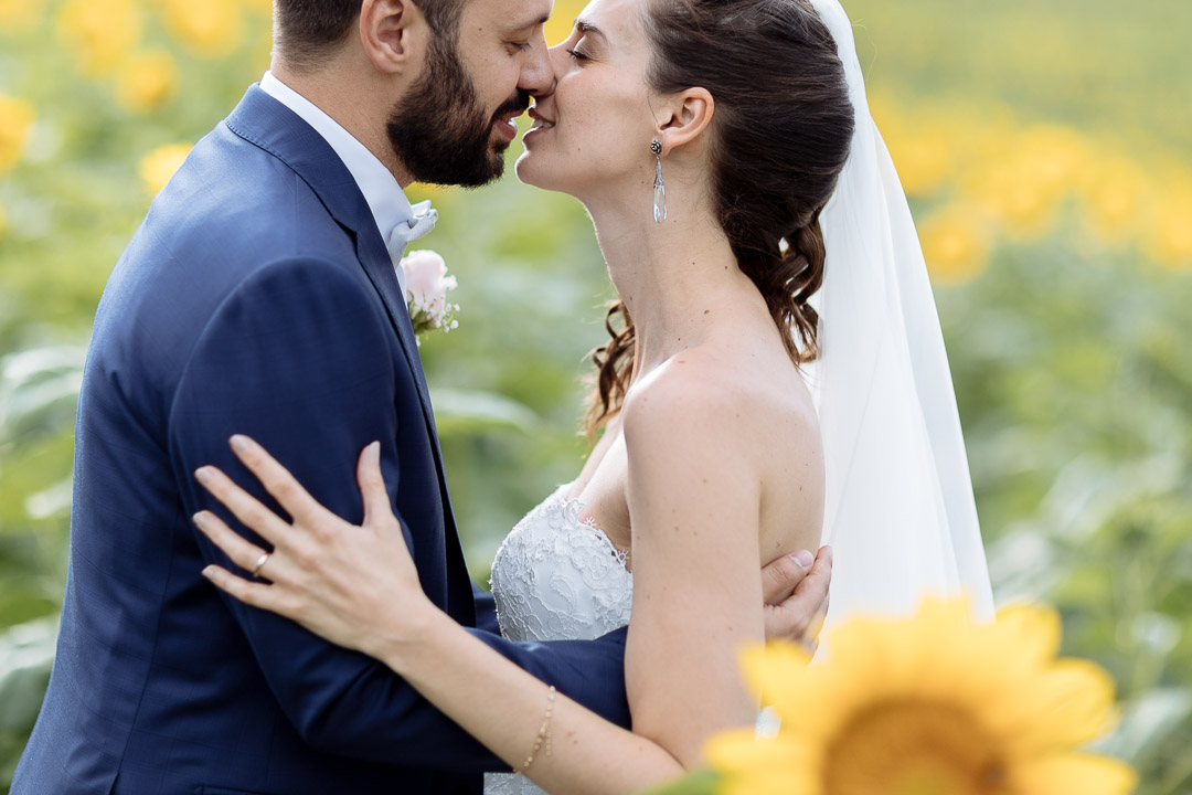 Sunflowers Monferrato Luca Vieri Wedding Photography Piedmont