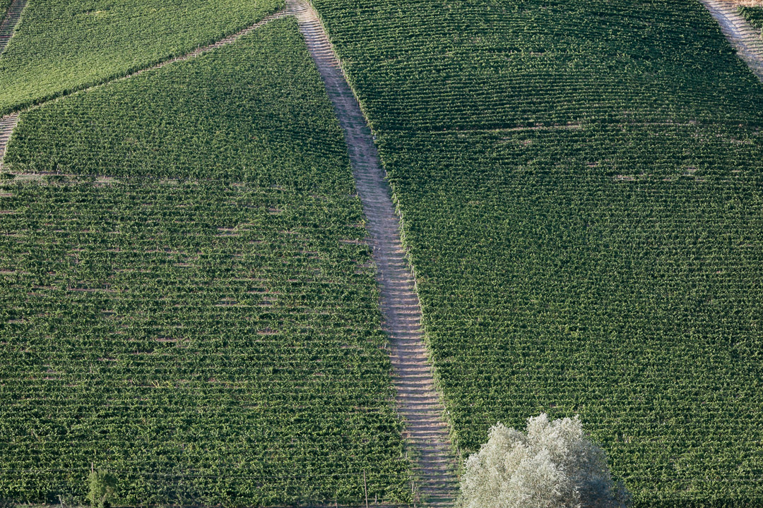 Filari Monferrato Luca Vieri fotografo