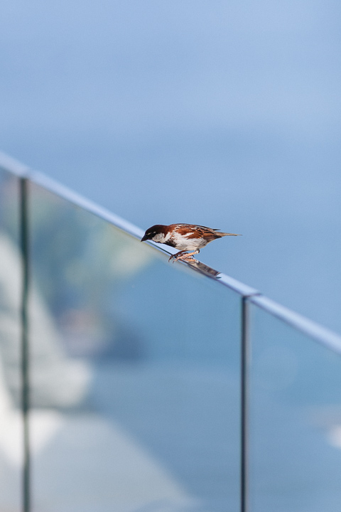 Terrace view Wedding Stresa Lake Maggiore Luca Vieri Photographer
