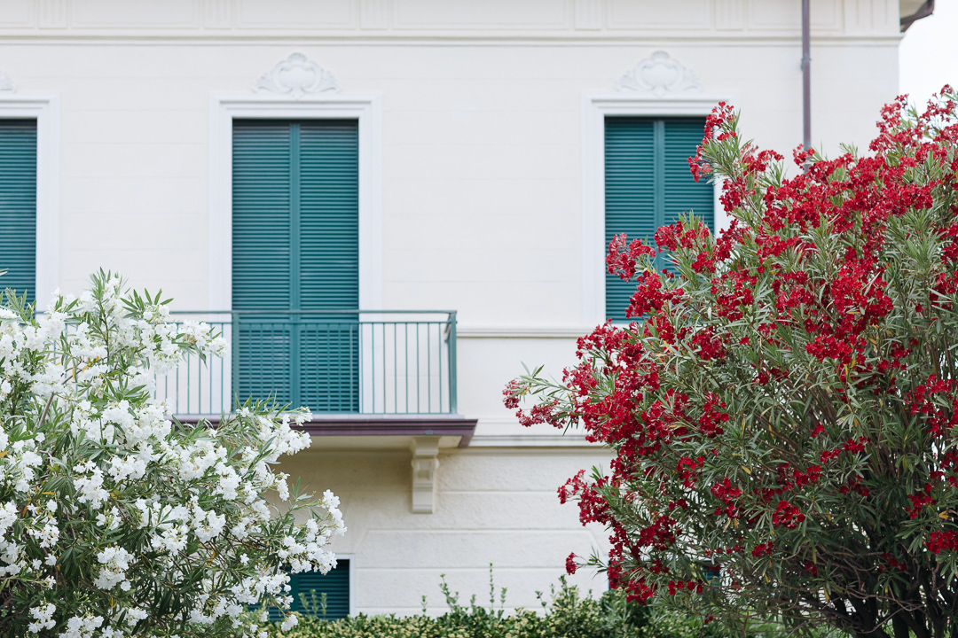 Fiori Forte dei Marmi Luca Vieri fotografo Matrimonio Versilia